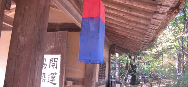 ���ͳݱ���Ǯ��